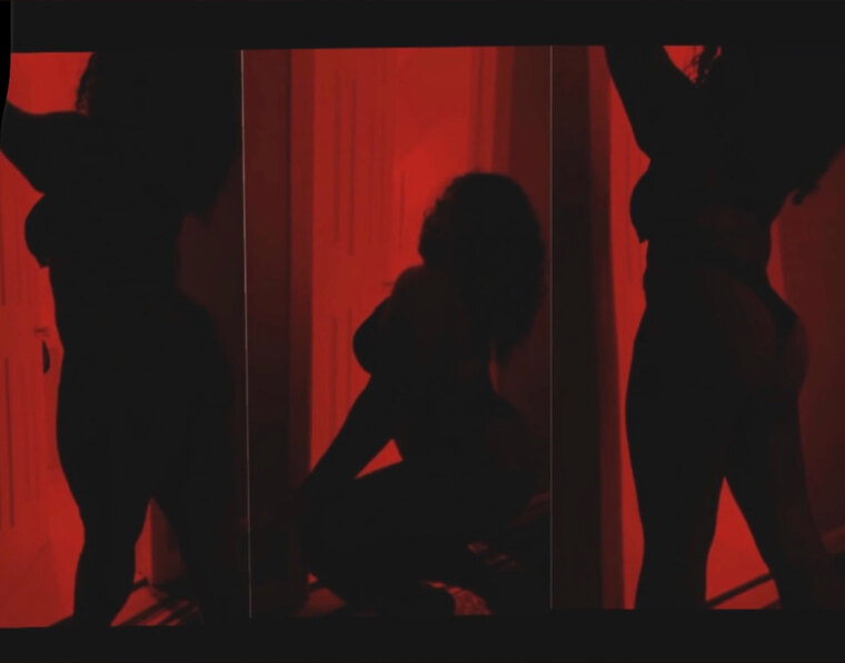 HiddenVixenXL banner image