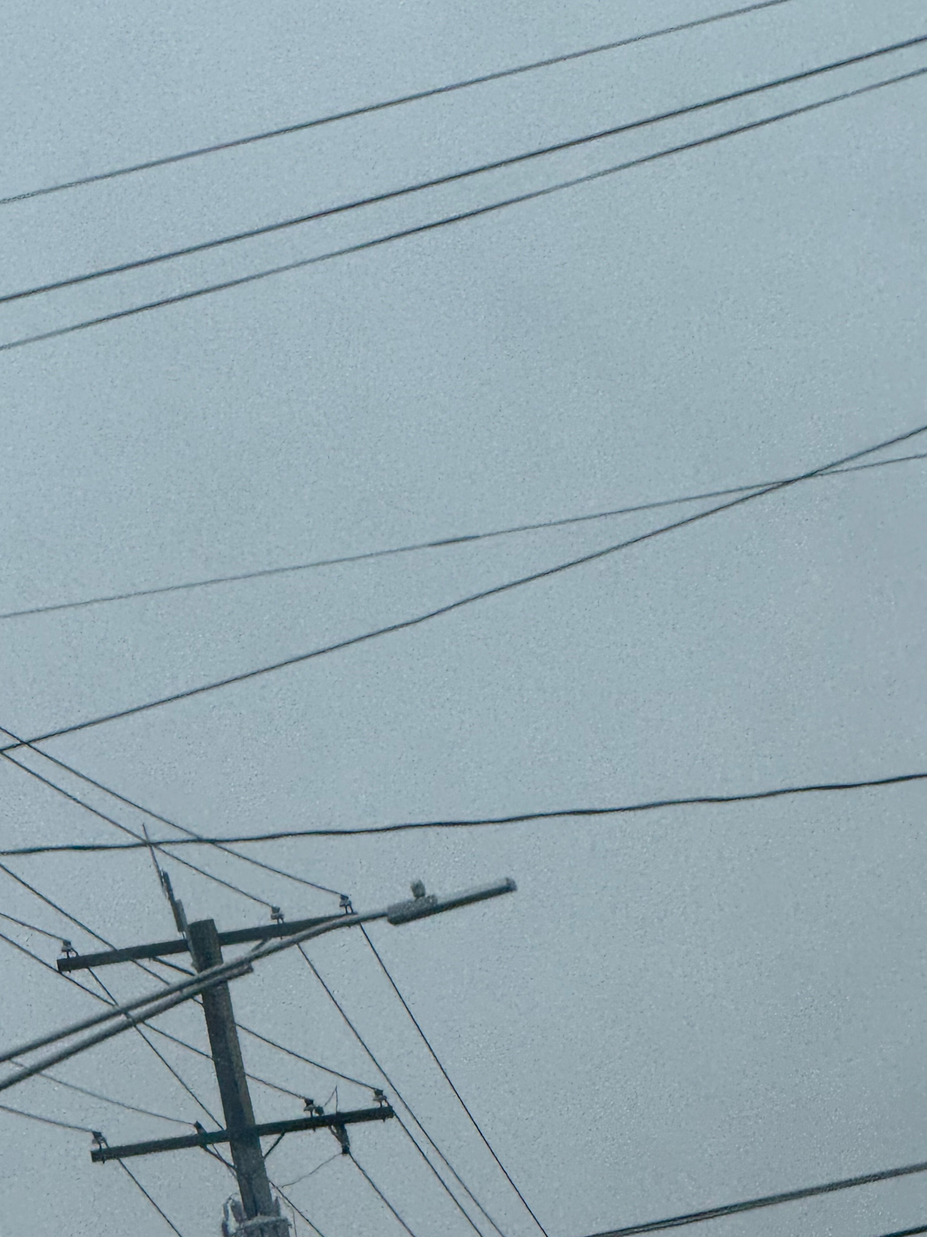 Andy banner image