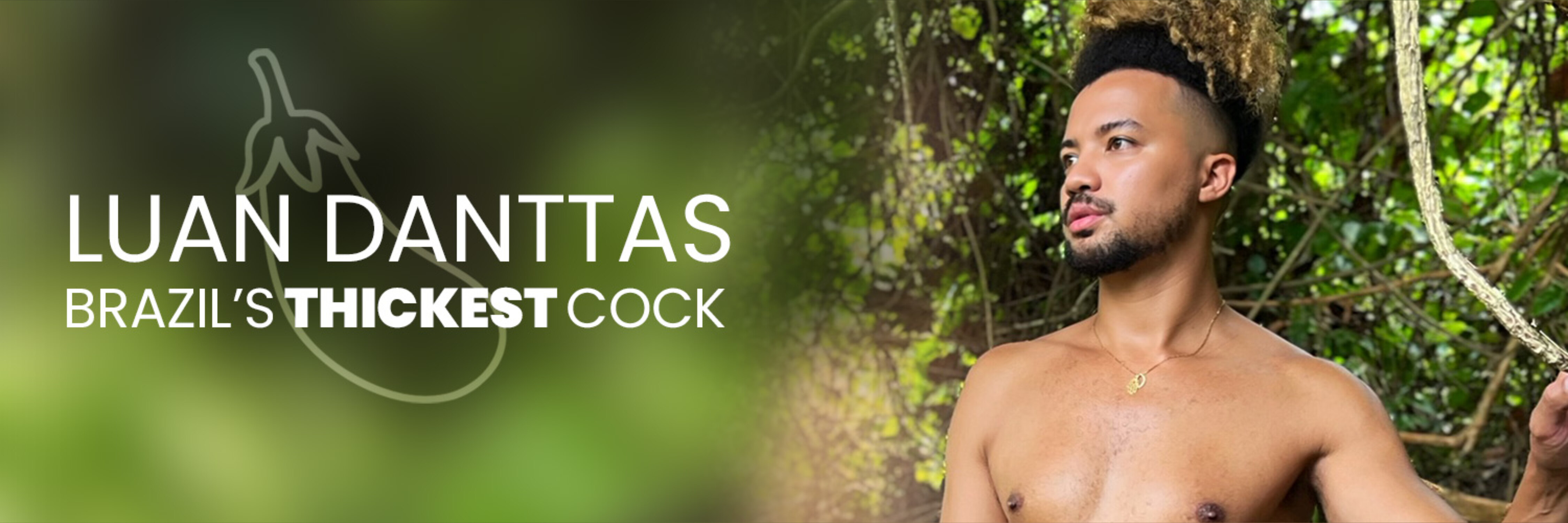 Luan Danttas | Free banner image