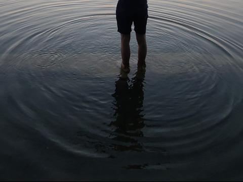 Lucas Acosta Vina cover image