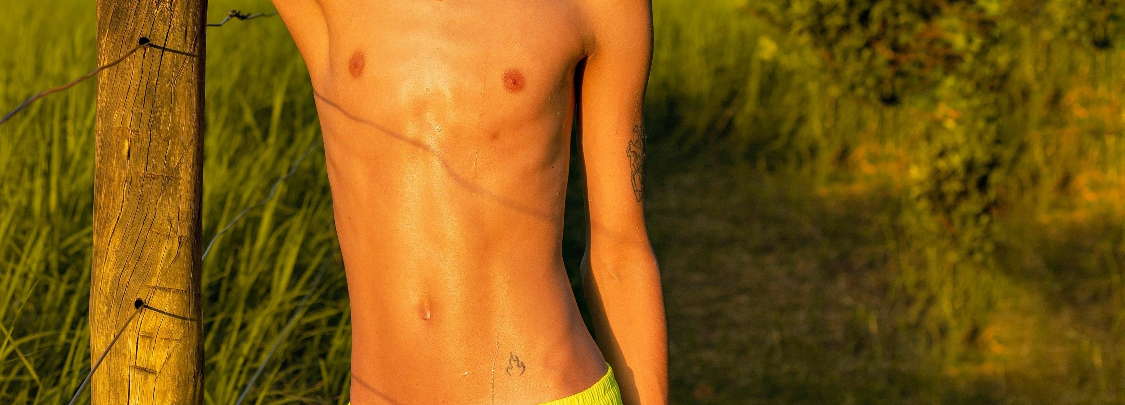 Luca Salotti banner image