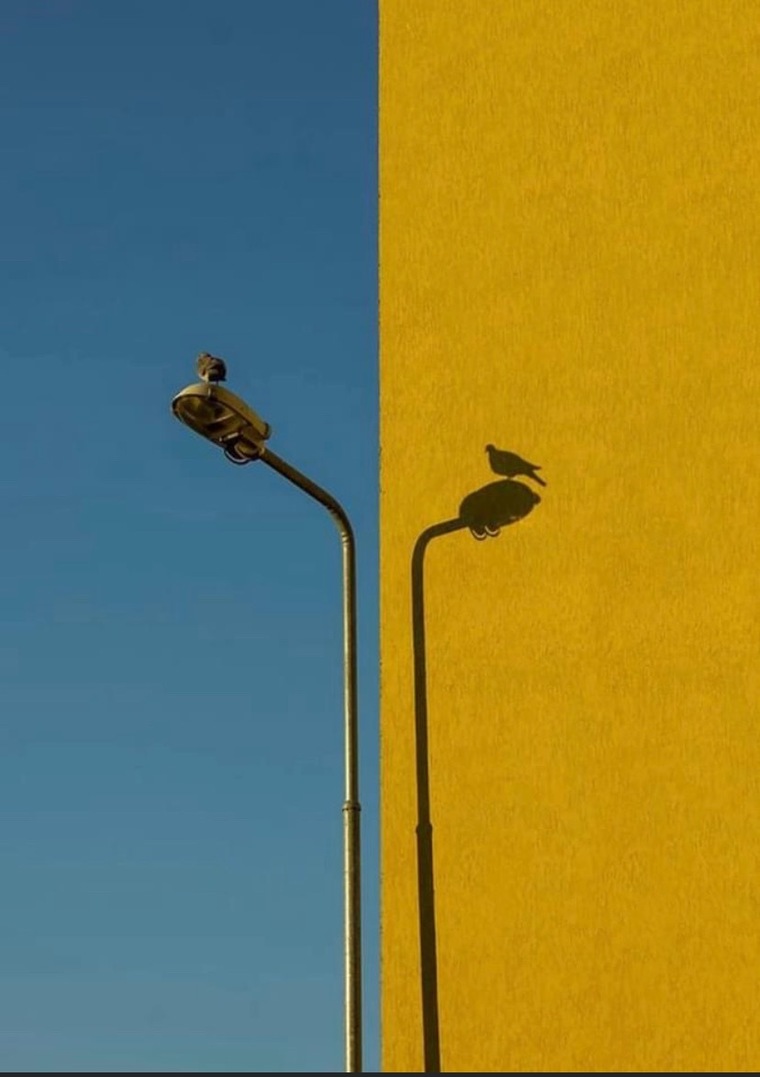 Lucas VBottom Sofia cover image