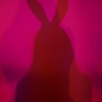 Luci Olla avatar