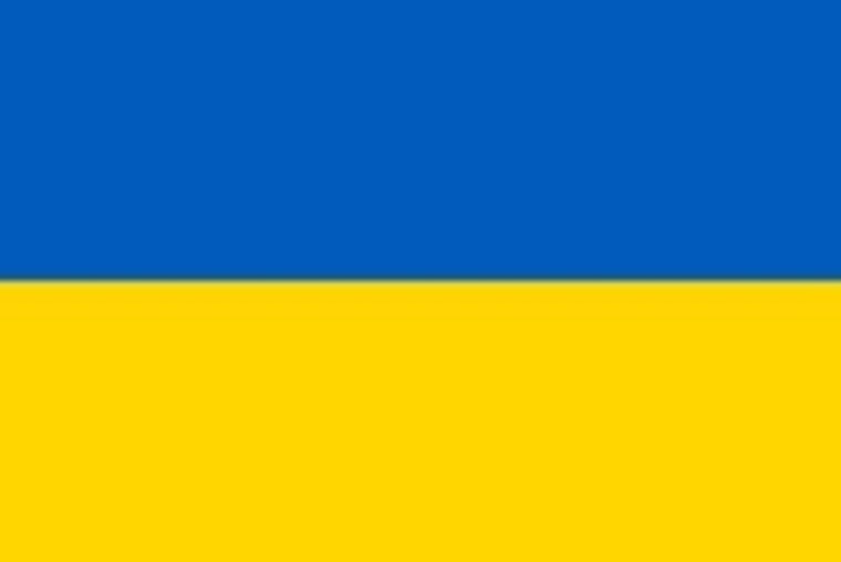 Ukrainian Cat Luchik cover image