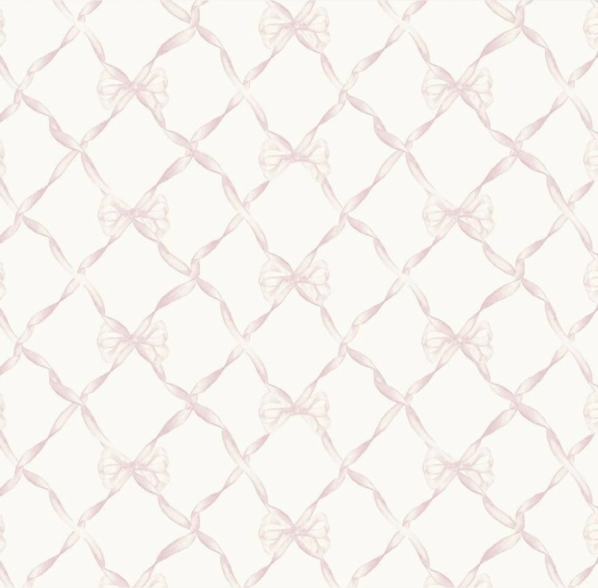 luci ! 🧸 banner image