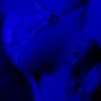 Lucía Resyes avatar