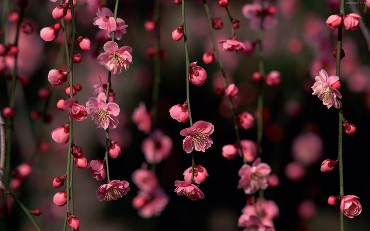 Lucia Rubio π©πΌβπ« banner image