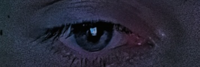 k_rocxstar _ cover image