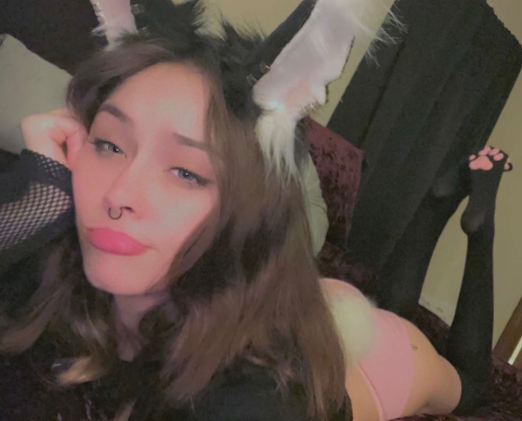 Lola Bunni❤️ banner image