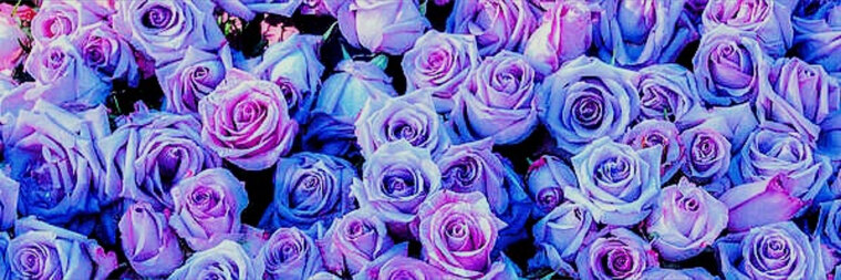 Laelynn 💋 banner image