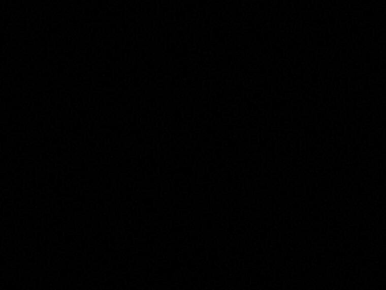Lucky Dog Pov cover image