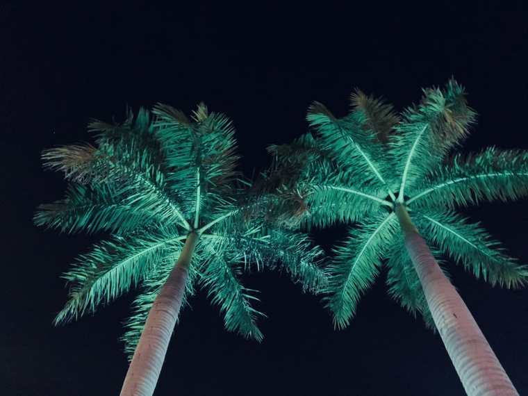 Cameron🏝 banner image