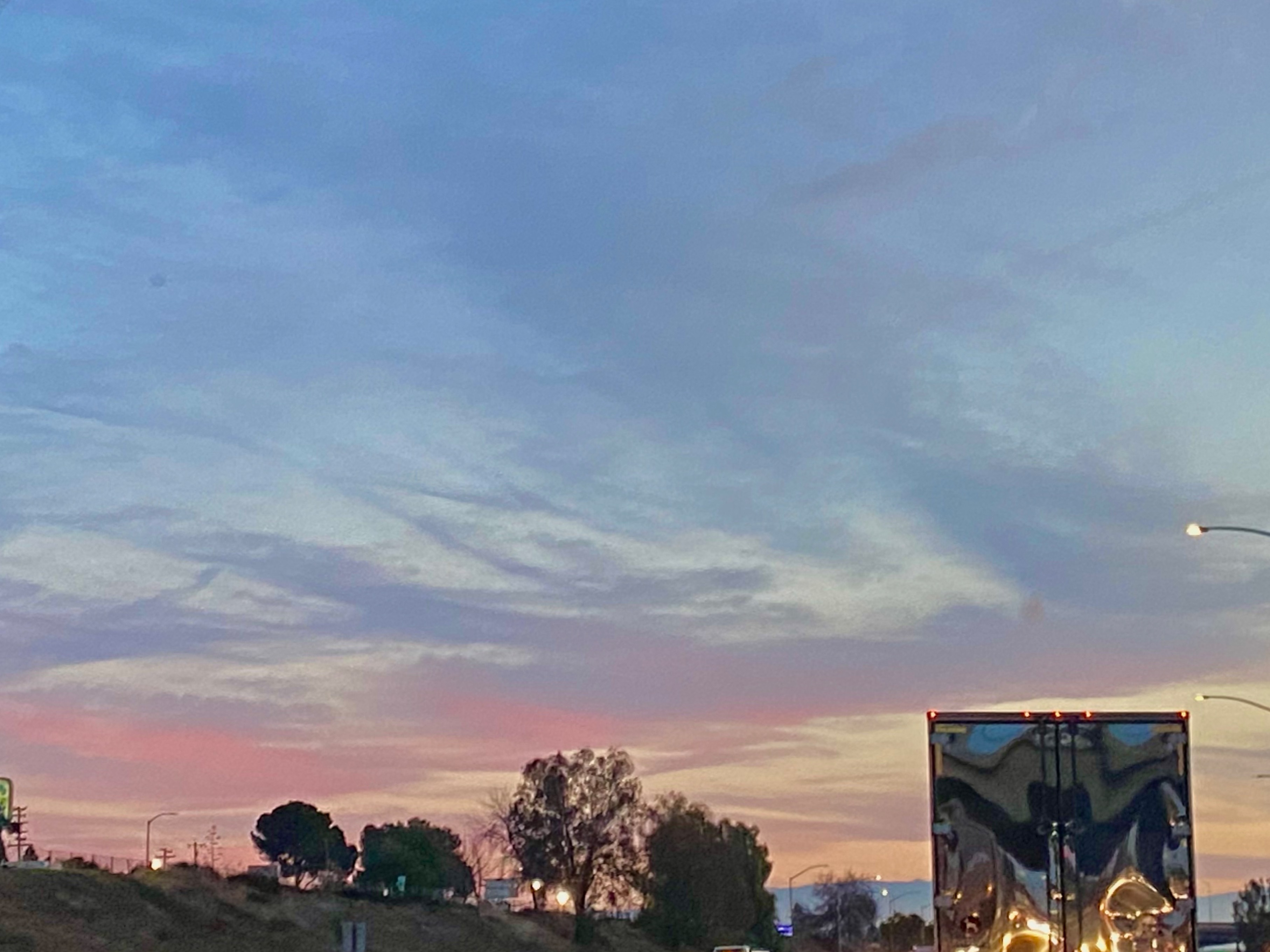 Kitty banner image