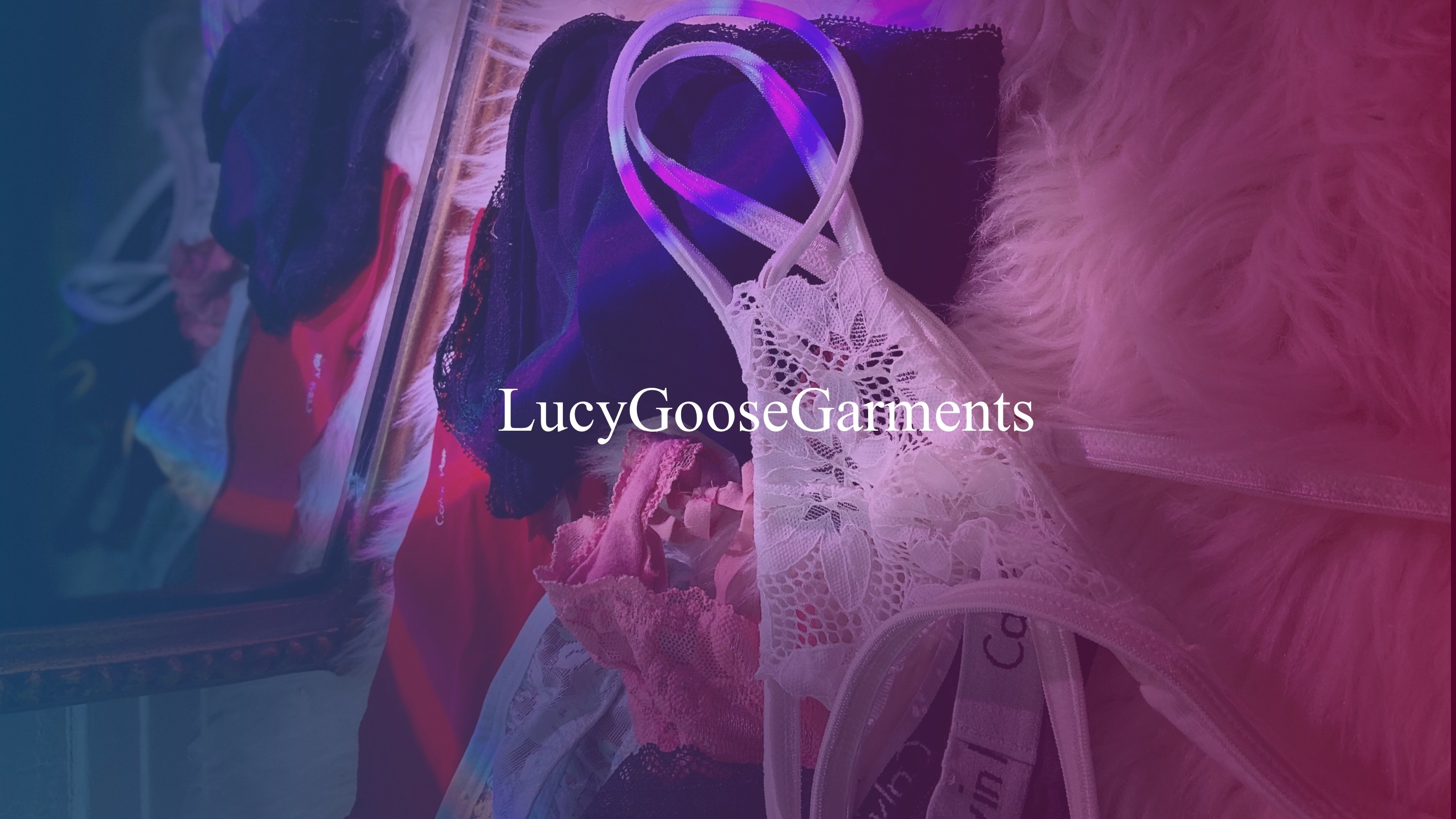 Lucy Gæs banner image