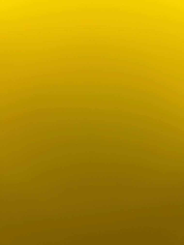 Lucyjuggs28769 cover image