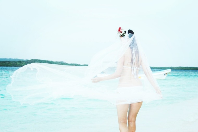 LucyLoGo cover image