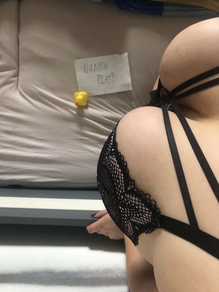 Lucypussy cover image