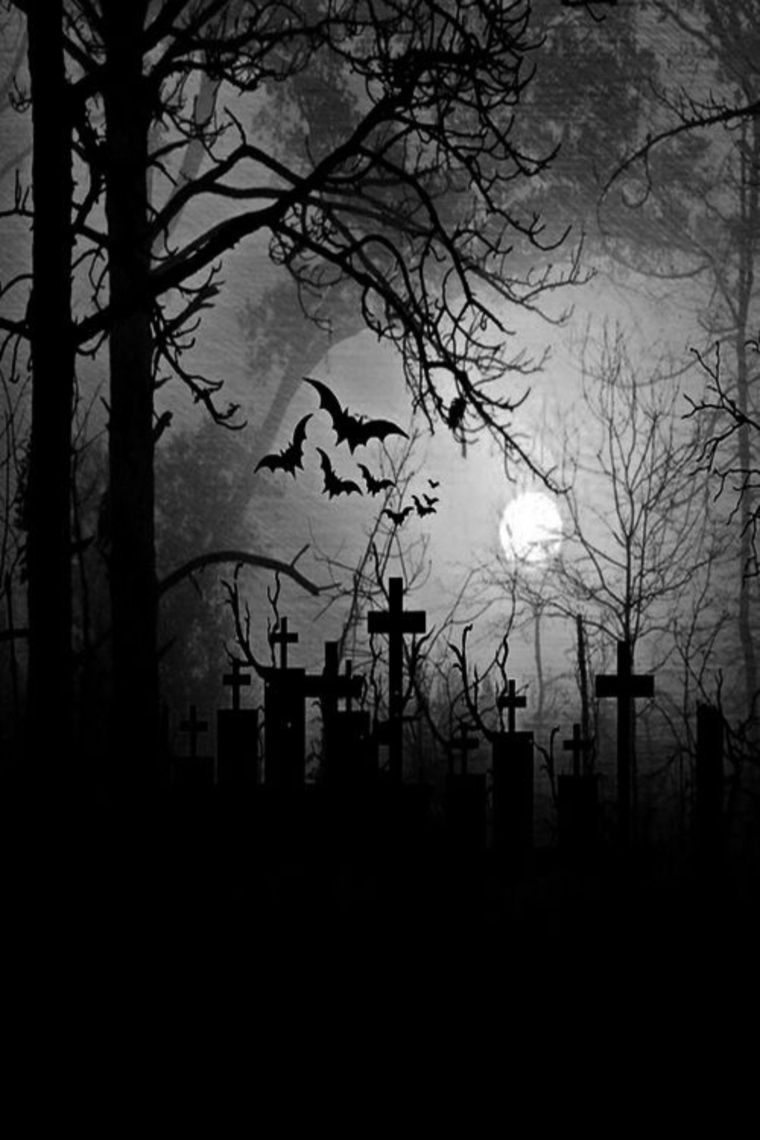 𝕷𝖚𝖈𝖞 𝖁𝖆𝖒𝖕𝖎🦇 cover image