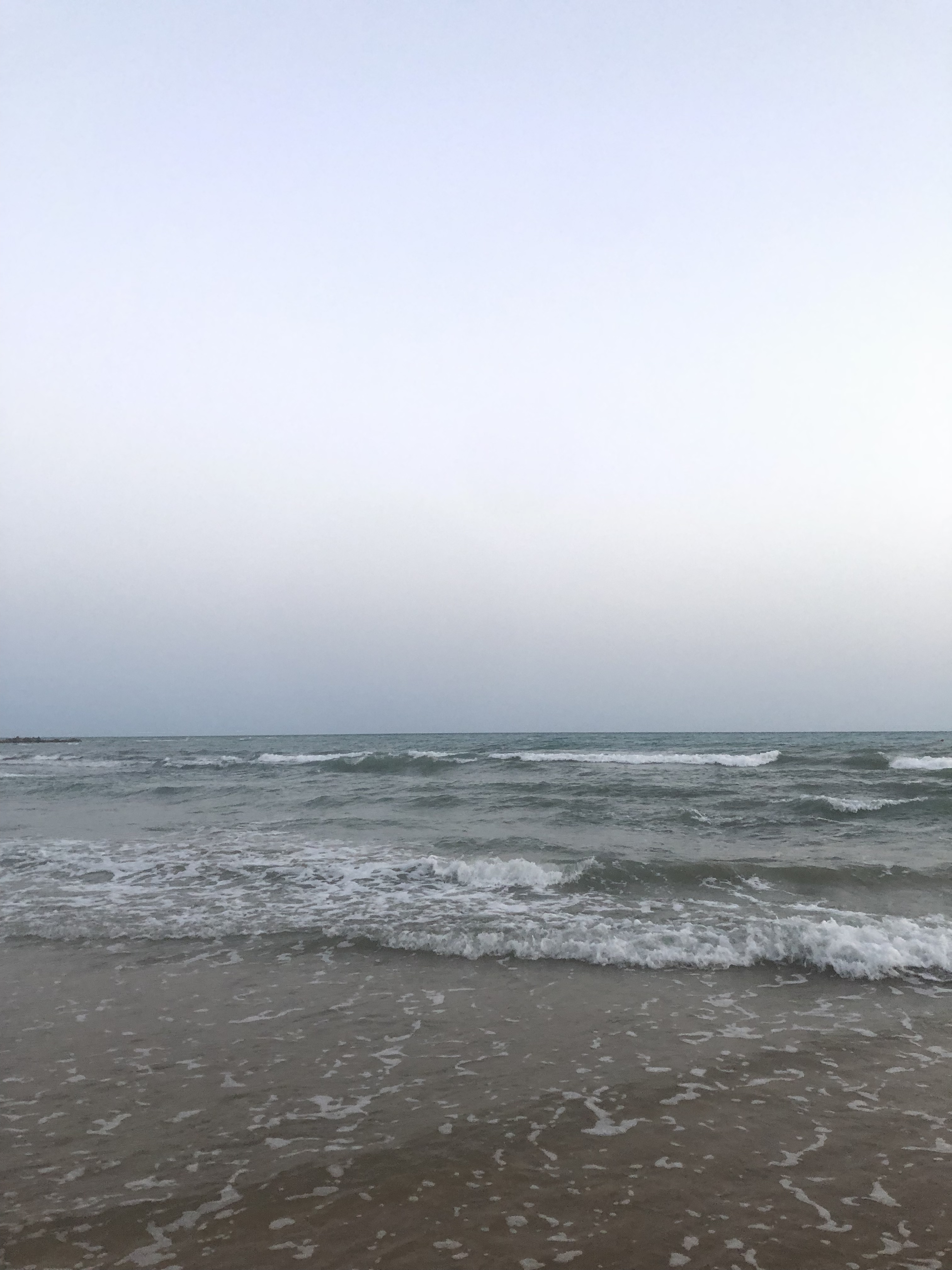 Luisa Noli banner image