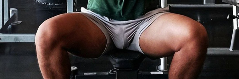 Luisalcali cover image