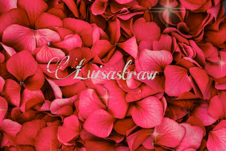 Luisa ⚡ banner image