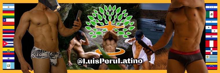 LuisPeruLatino banner image