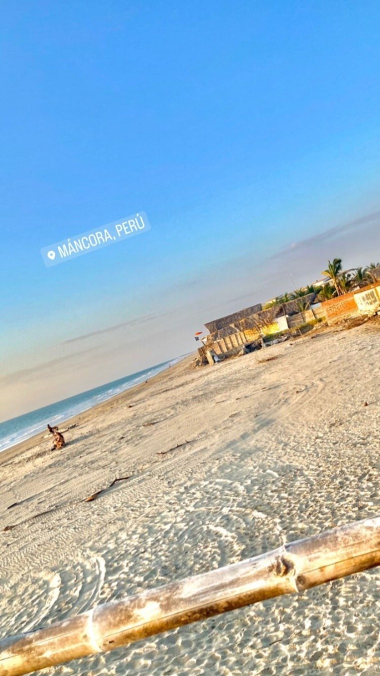Luis cover image