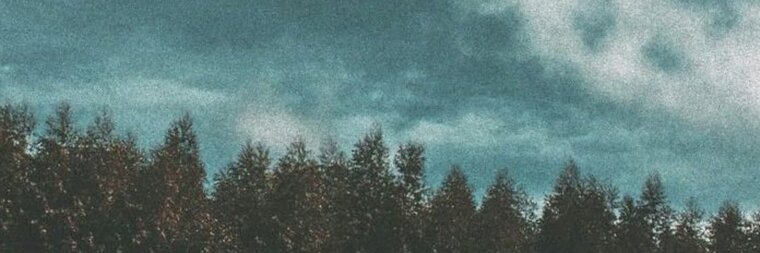 Lukas banner image