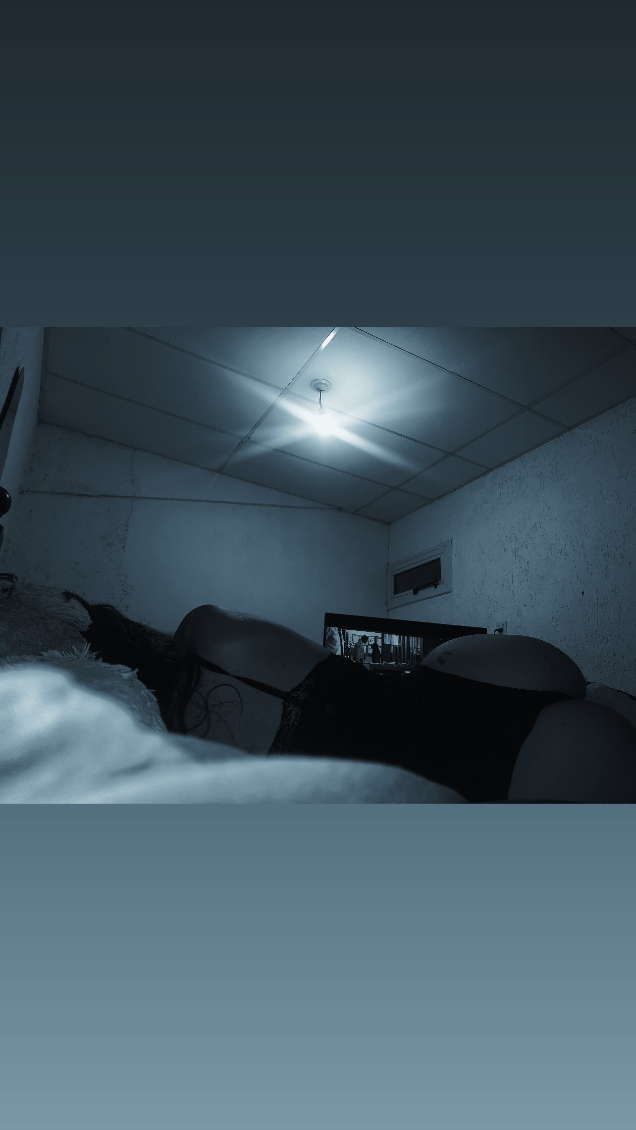 Flor banner image