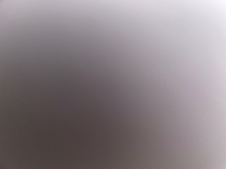 Luna Bee banner image