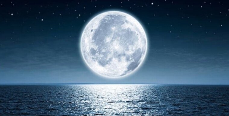 Luna Moon banner image