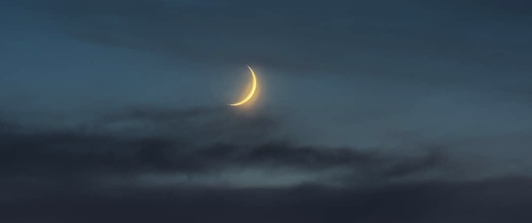 Luna ๐ ๐ banner image