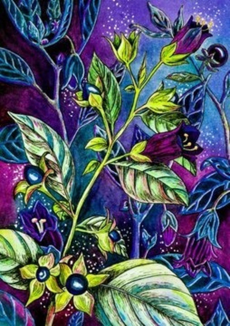 Luna Nightshade banner image