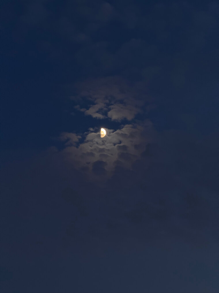 Luna cover image