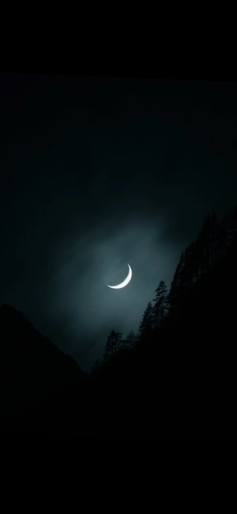 Luna🌙 banner image