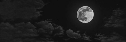 luna cover image