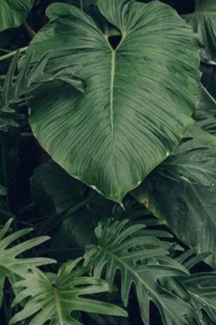 NiaWaterfalls cover image