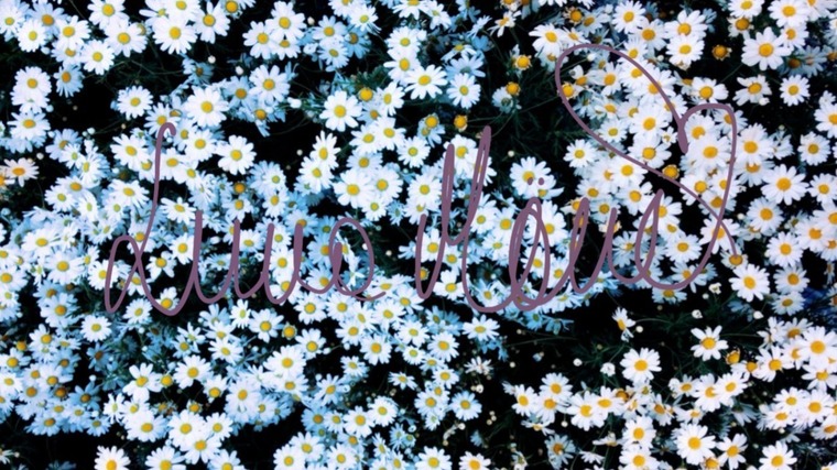 Luna Mรฅne๐ธ banner image