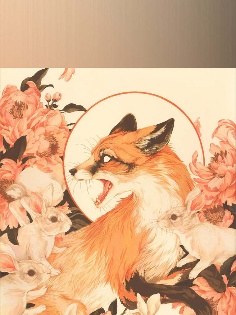 Liv cover image