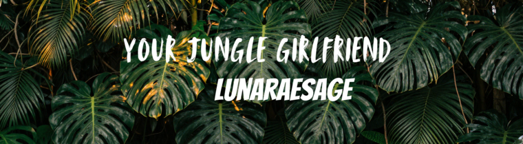 Luna 🌙 VIP banner image