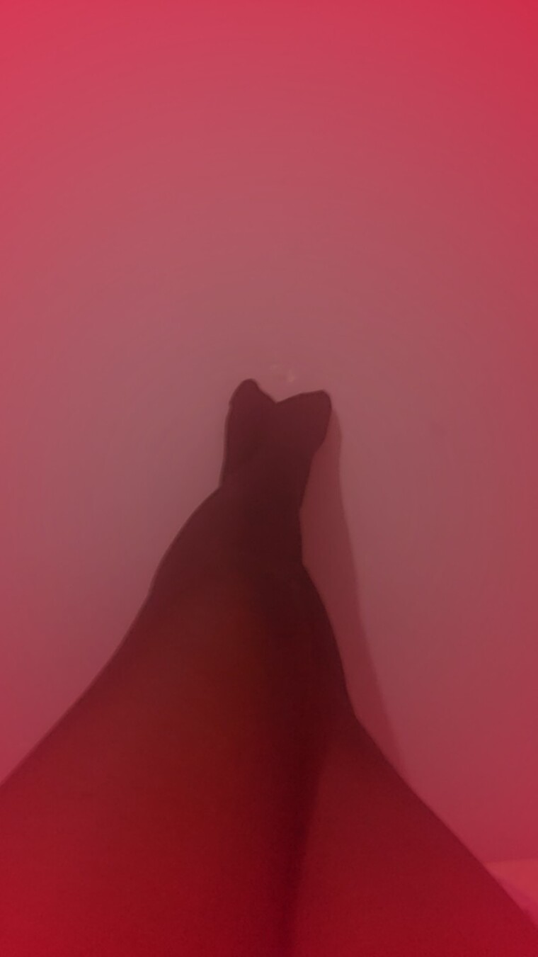 Luna cover image