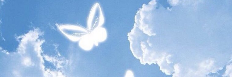 luna banner image