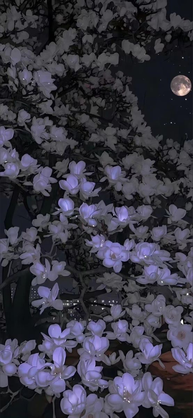 ☽ 𝔏𝔲𝔫𝔞 𝔏𝔞𝔳𝔦𝔰𝔥  ☾ cover image