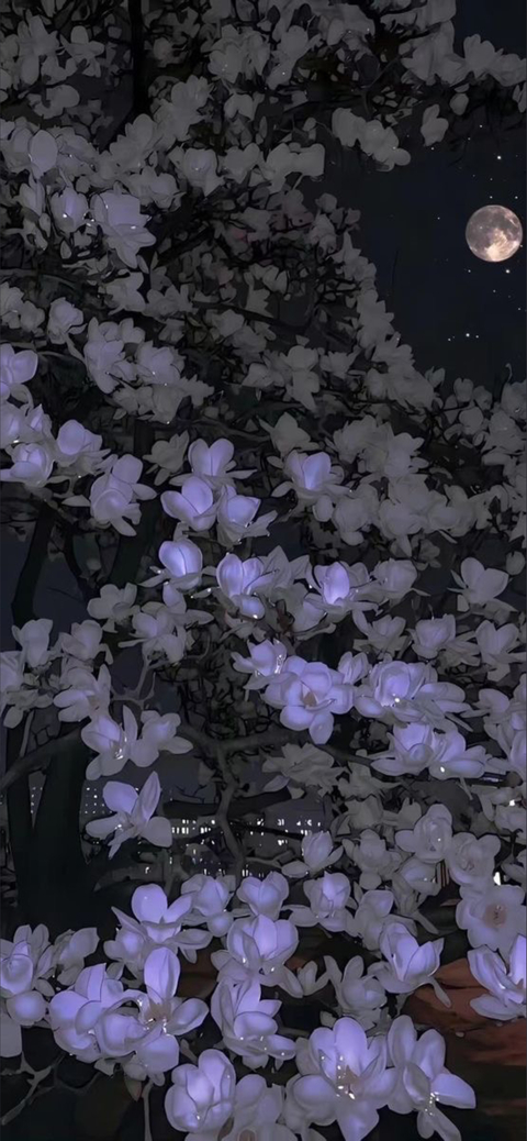 ☽ 𝔏𝔲𝔫𝔞 𝔏𝔞𝔳𝔦𝔰𝔥 ☾ cover image