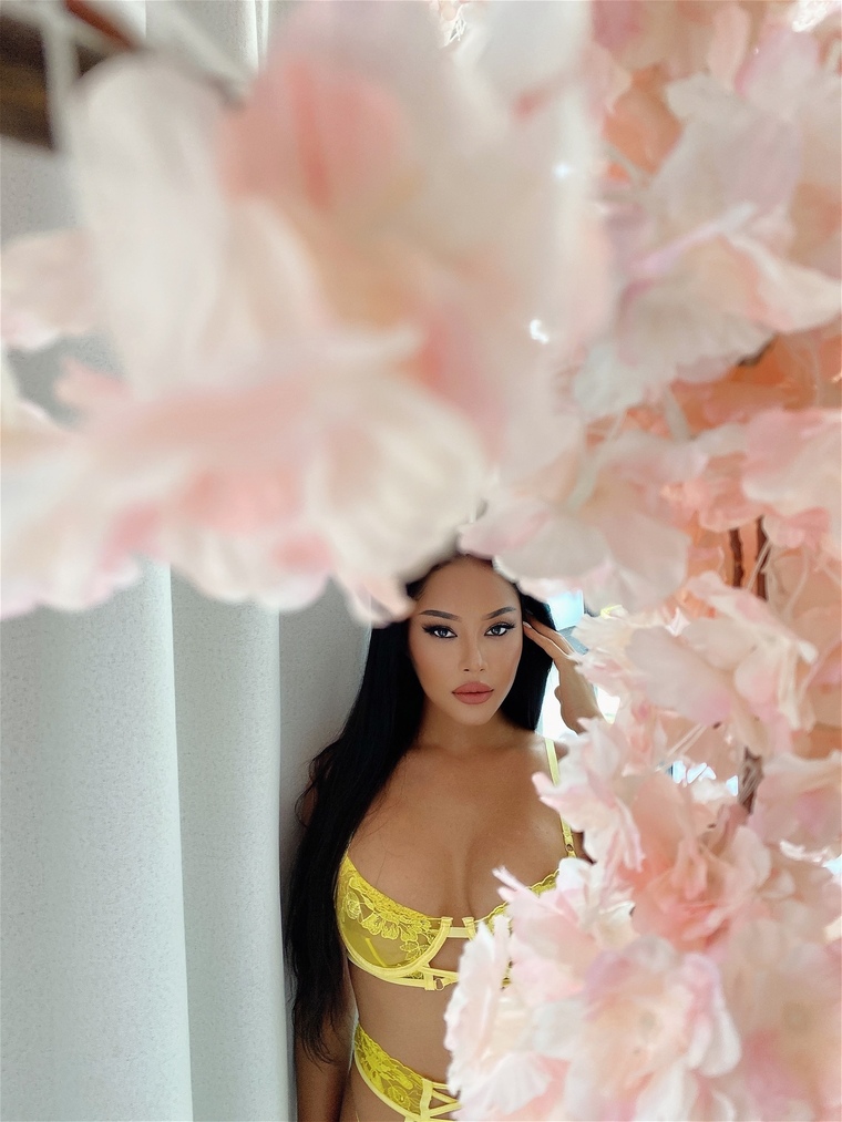 Kim banner image