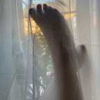 Lush feet gallery avatar