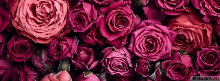 Lustful_Lucrezia banner image