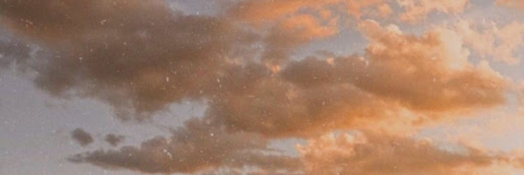 SnowBunniLacy banner image