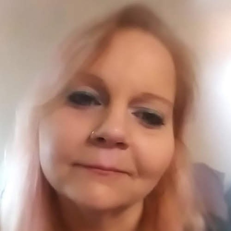kittykat banner image