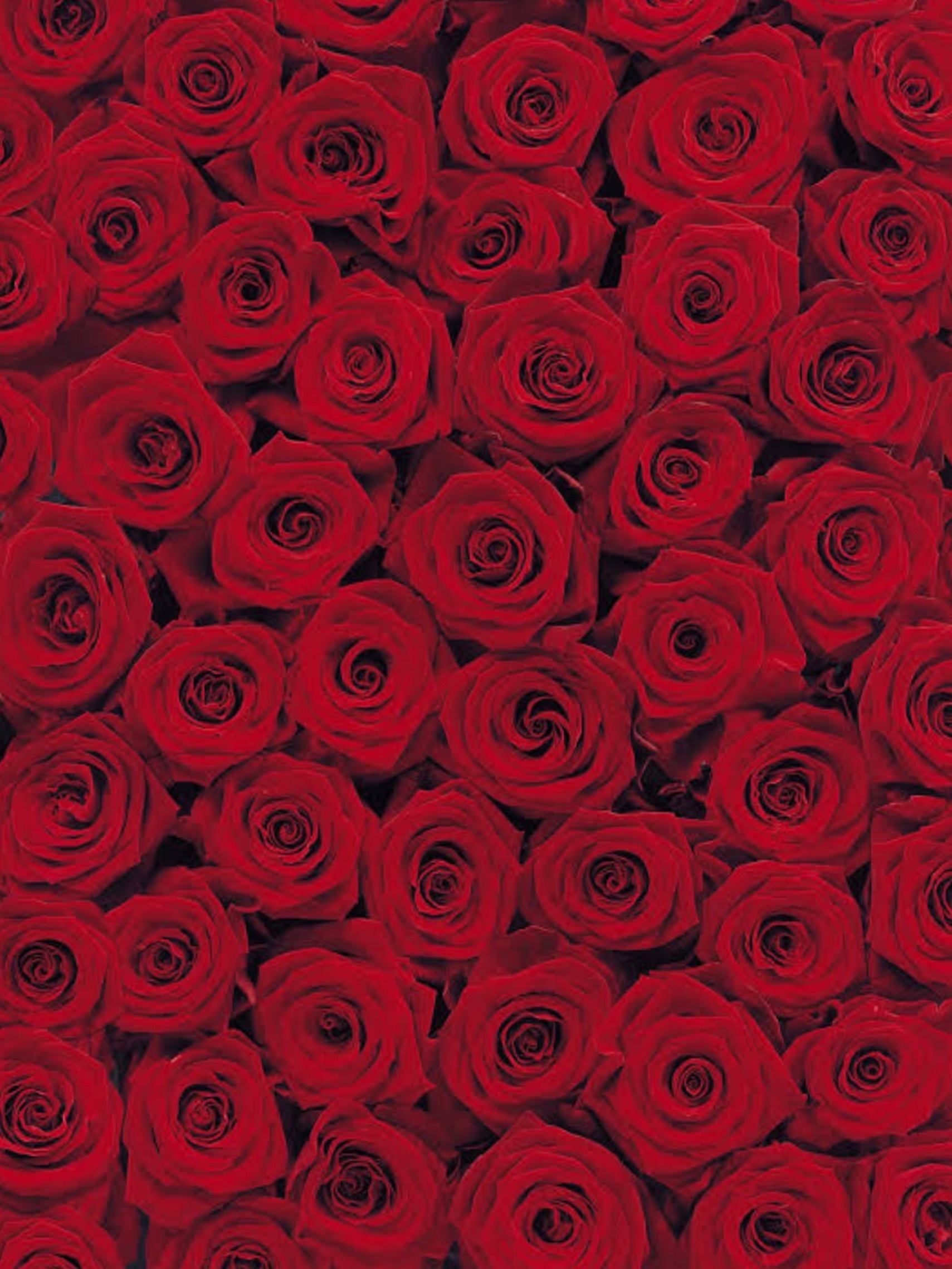 Luvyourzxx banner image